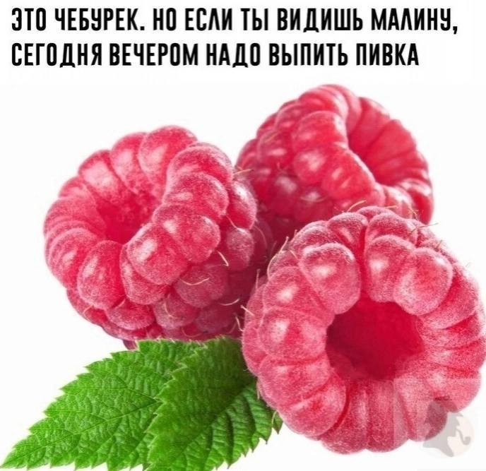 Жопошная