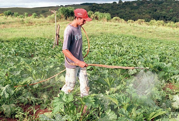 **Mato Grosso é o estado que …