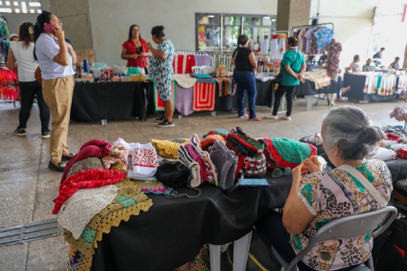 [Semana do Empreendedorismo Feminino impulsiona geração …