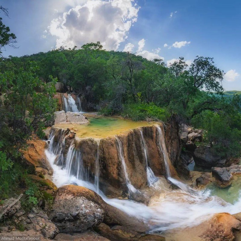 شبكه ژوان