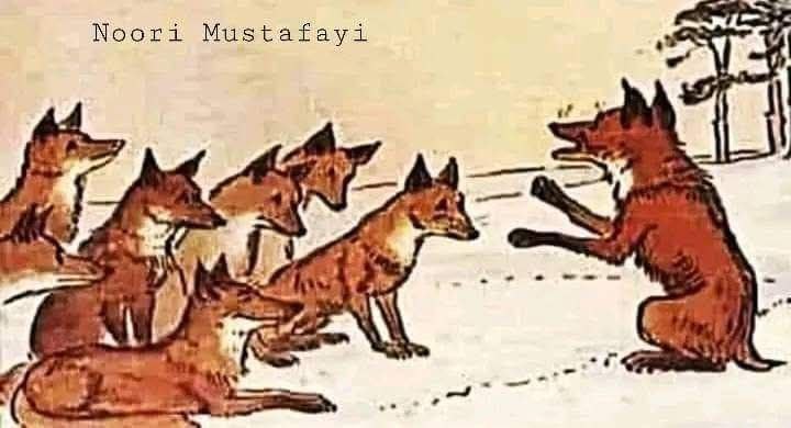 [‍](http://axnegar.fahares.com/axnegar/d3b2ad7464278d0fc5c44d8748e330acAgACAgIAAxkBCMhtY2eSVzNELfWlUU6tXE4SC9h7bdA4AAJX6jEbxeWYSGoBg0Ia22XIAQADAgADeAADNgQ.jpg) گفتوگۆی سەگ و گورگ:...