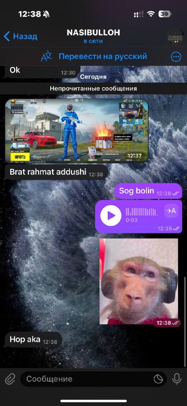 **SOTILDI** *****✅***** **– ENG ISHONCHLI VA …