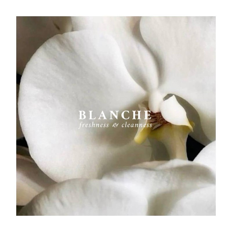 Плейлист "BLANCHE / color: white"