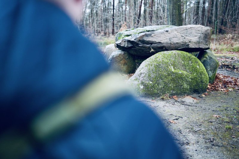 Junge Alternative Sachsen-Anhalt