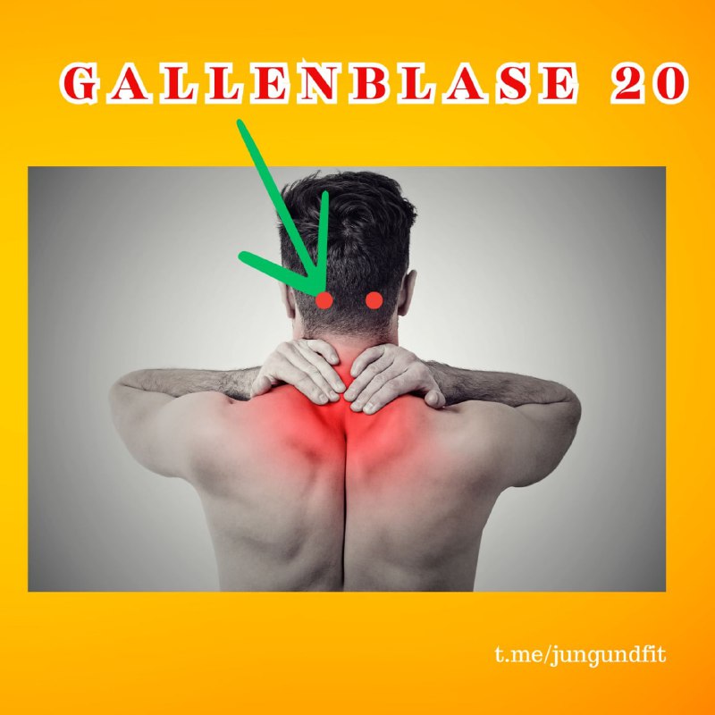 ***✨*** **Türchen Nr. 4: Gallenblase 20 …