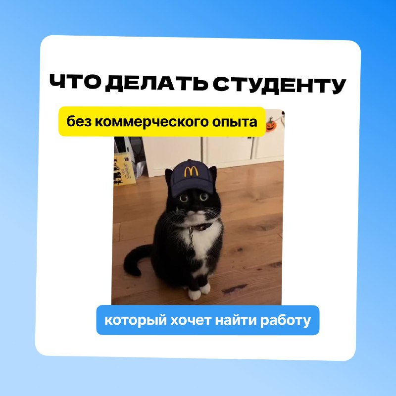 ***🍟*** **Кейс: что делать студенту без …