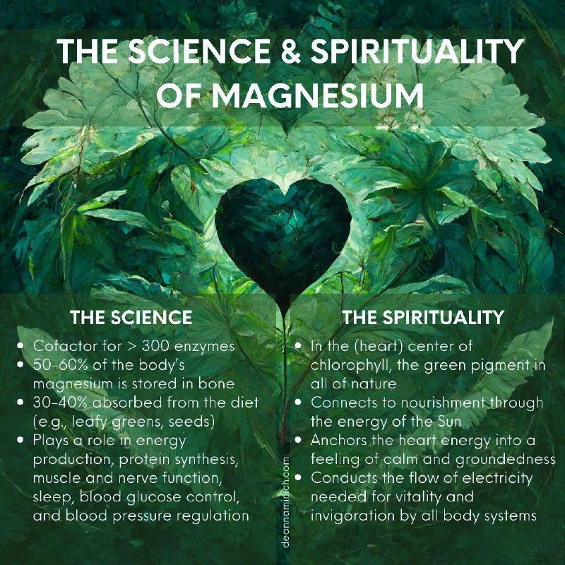 Magnesium is a key feature of …