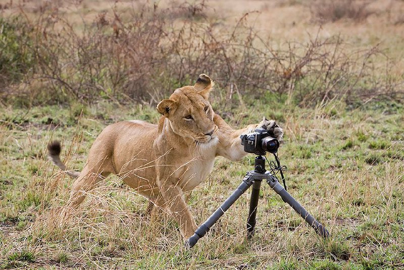 photo by : Paul Souders