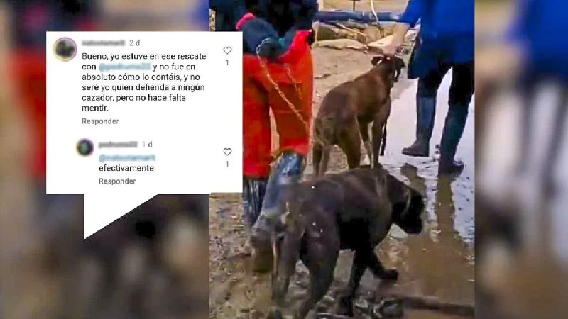 ***‼️*** PACMA DICE RESCATAR CUATRO PERROS …