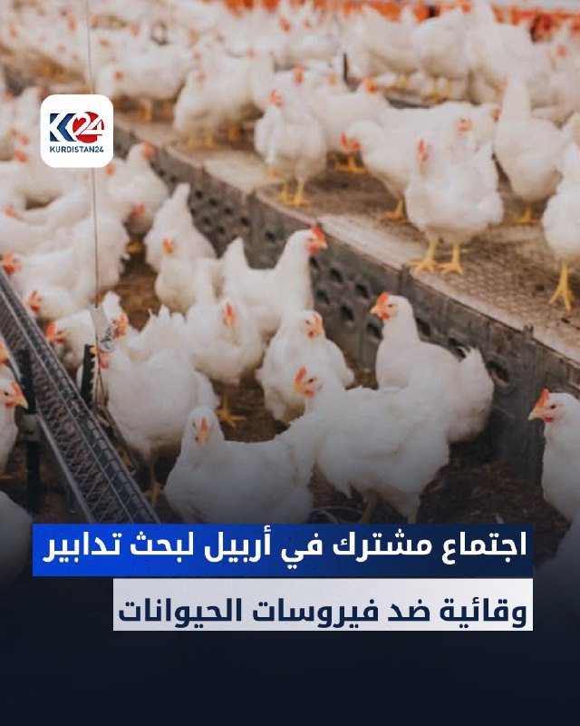 إجراءات وقائية جديدة في أربيل لمواجهة …