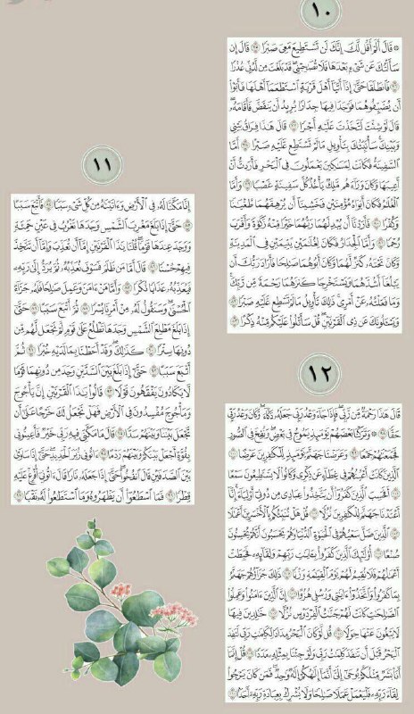 | الفـتى السّـني