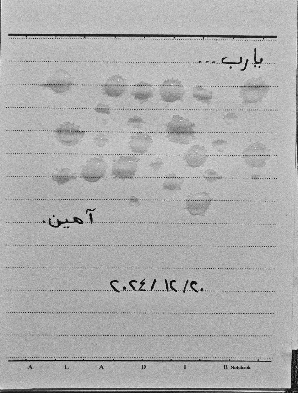 ‏يبدو أنهَ قد كتب كُل شيء..