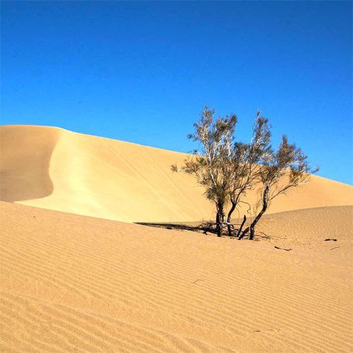 به بابام گفتم آینده چطوریه؟ گفت …