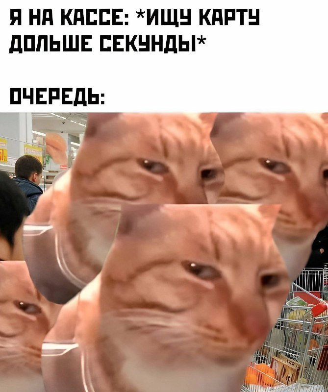 Мемологиня