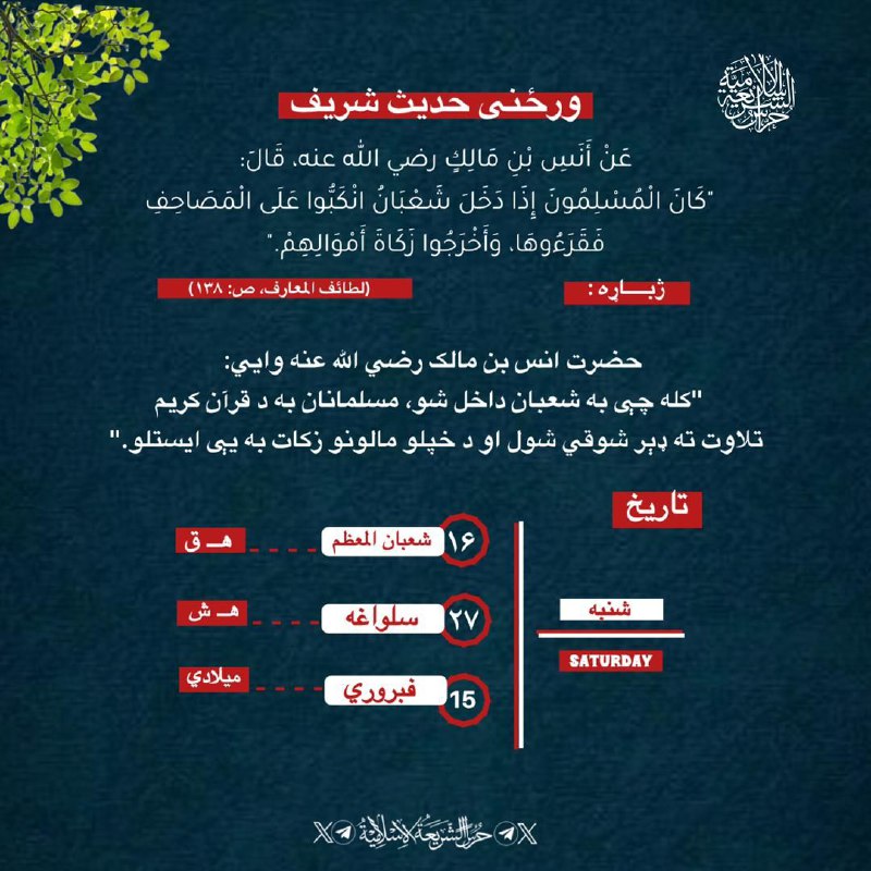 ‏‌#ورځنۍملغلره د ‎[#حراس\_الشریعة\_الاسلامیة](?q=%23%D8%AD%D8%B1%D8%A7%D8%B3_%D8%A7%D9%84%D8%B4%D8%B1%DB%8C%D8%B9%D8%A9_%D8%A7%D9%84%D8%A7%D8%B3%D9%84%D8%A7%D9%85%DB%8C%D8%A9) فکري، کلتوري او …