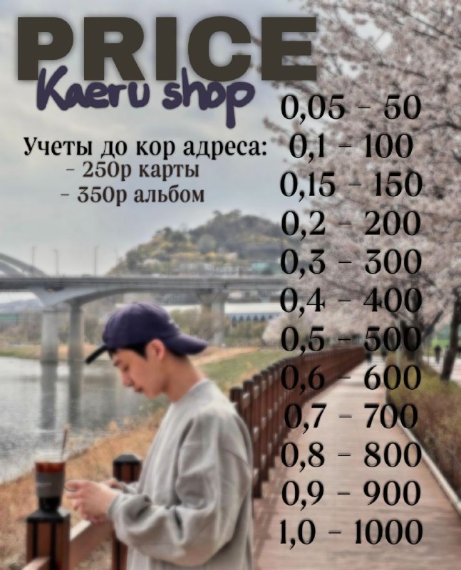 Kaeru Shop