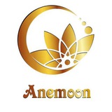 همکاری کفش هامین ارسال رایگان
