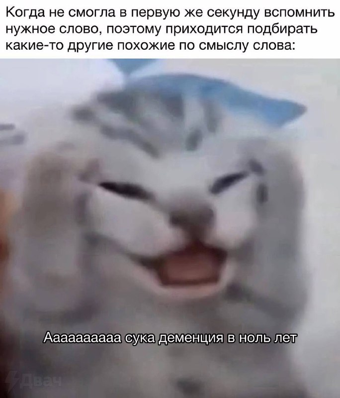 Постоянно нахуй