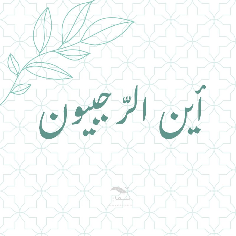 ***?*** **أين الرّجبيون ؟**