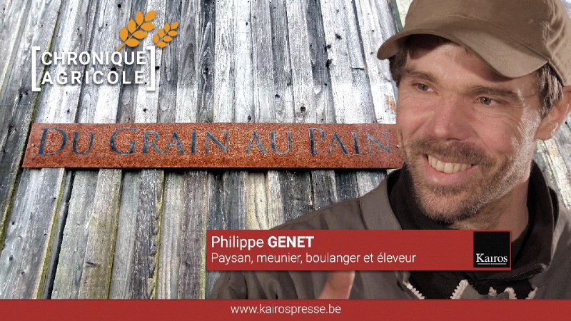 [Chroniques Agricoles] Philippe GENET: du grain …
