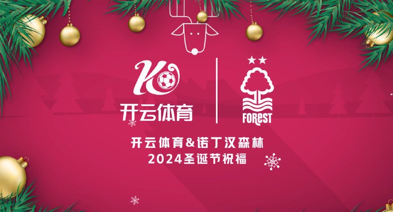 ***🦌*** **圣诞祝福愿所有美好与你相遇** ***🎅***