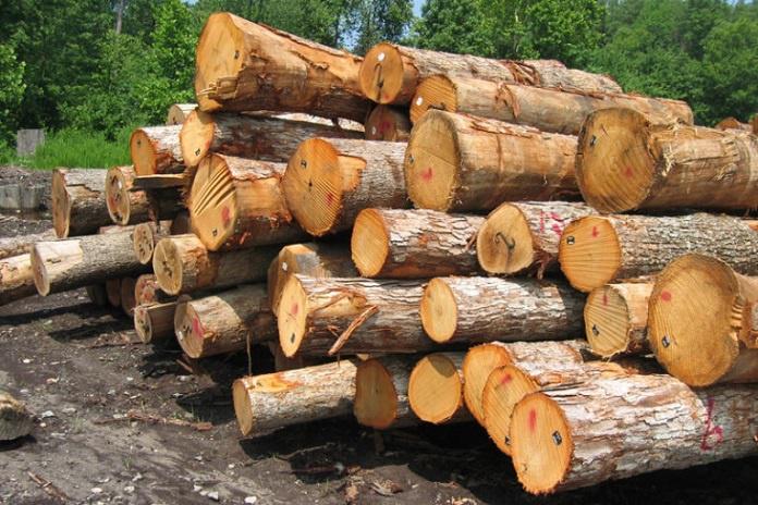 *****?*** کشف بیش از ۱۰ تن …