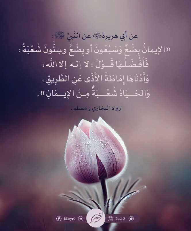 كلــ🎙ــمة | 🌸🌾