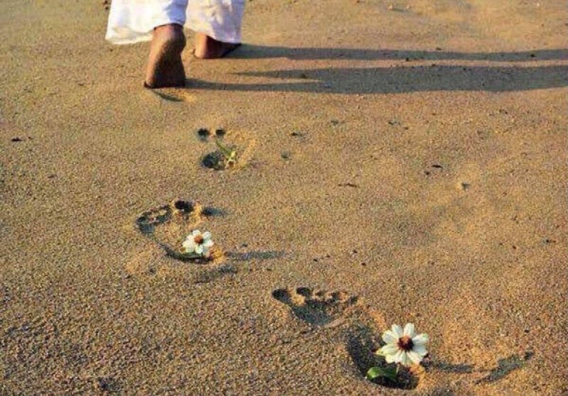 ‏"ثروة الإنسان التي لا تفنى : …