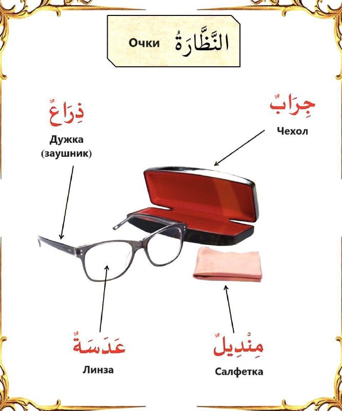 الكلمات العربية 📚