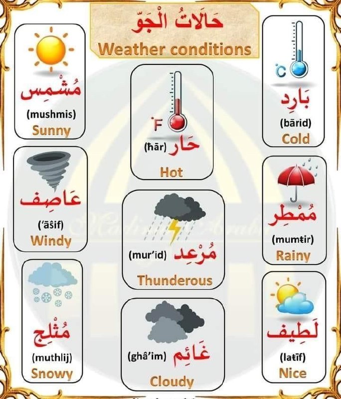 الكلمات العربية 📚