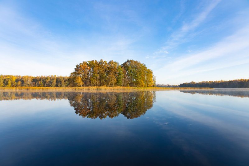 Юлия Калиничева / kalinicheva_nature ❇️