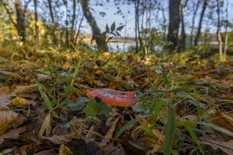 Юлия Калиничева / kalinicheva_nature ❇️