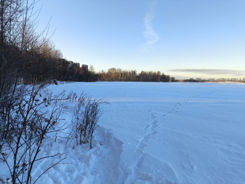 Каменка СПб