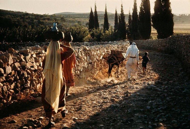 Palestine 1963 .