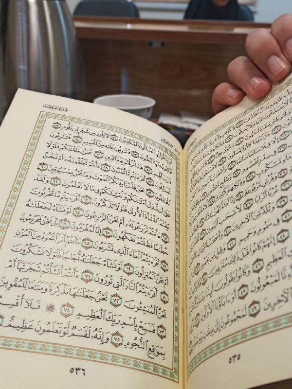 [#گزارش\_تصویری](?q=%23%DA%AF%D8%B2%D8%A7%D8%B1%D8%B4_%D8%AA%D8%B5%D9%88%DB%8C%D8%B1%DB%8C)