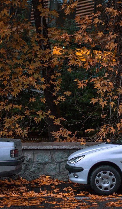 تصویر متفاوت از پاییز تهران