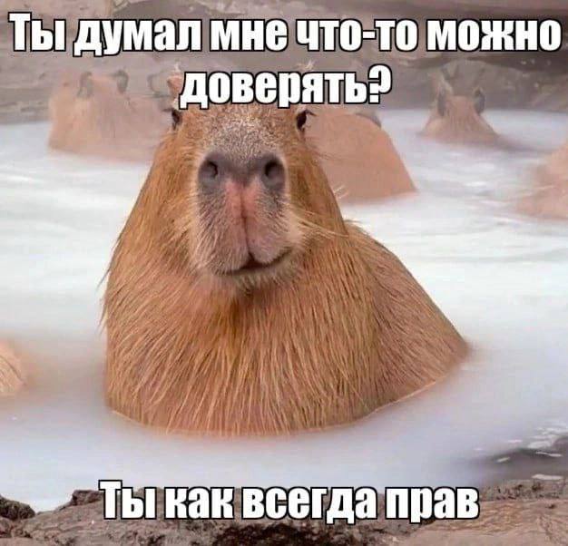 Капибаробар