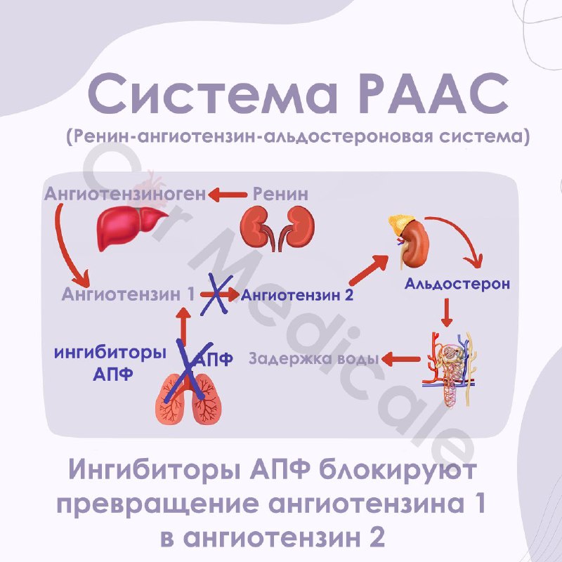 KARDIOLOGIYA ASOSLARI °°EKG°°