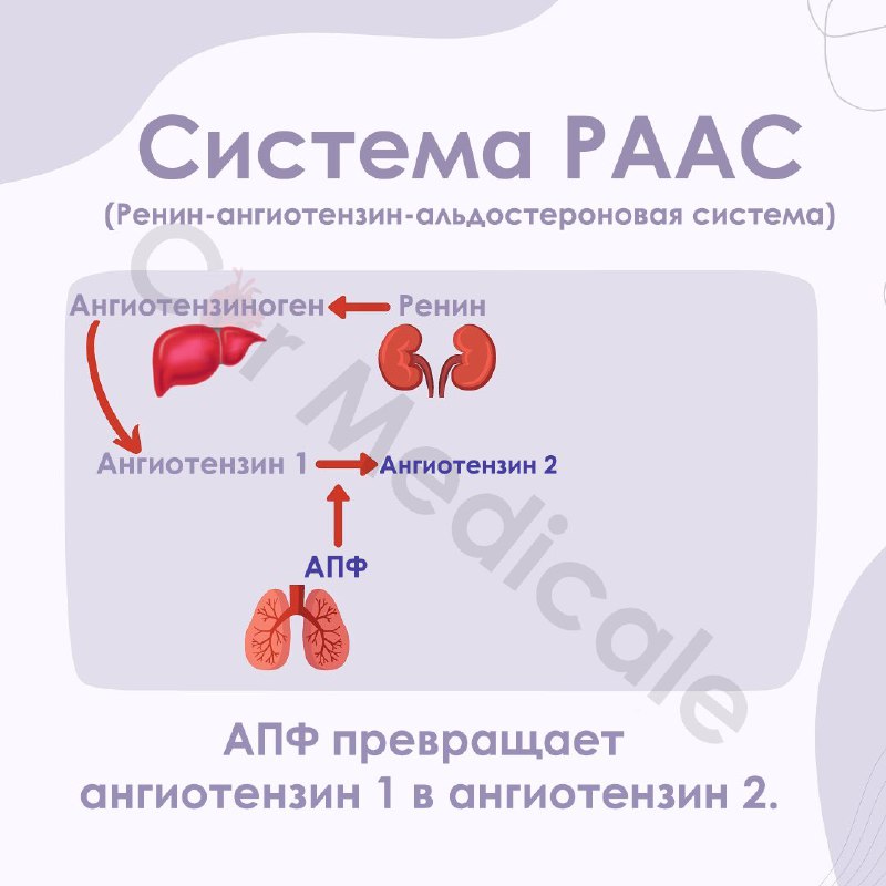 KARDIOLOGIYA ASOSLARI °°EKG°°