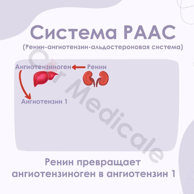 KARDIOLOGIYA ASOSLARI °°EKG°°