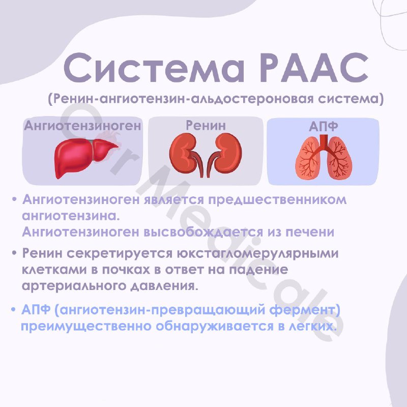 KARDIOLOGIYA ASOSLARI °°EKG°°