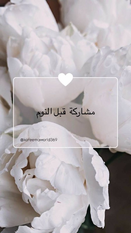 *****📸******✨*** قبل النوم… فعالية طاقة الغد …