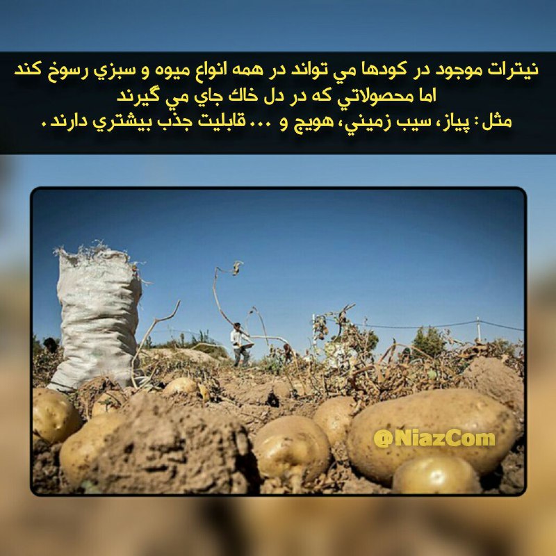 ***⚠️*** مـیوه درشت نخـرید ، هرچه …
