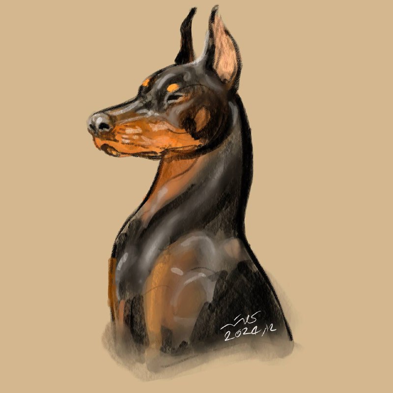 Doberman dog fast sketch