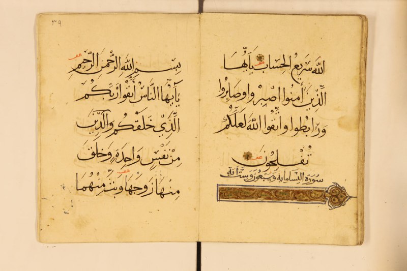 مرتضی کریمی‌نیا