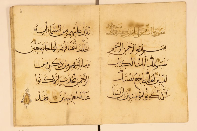مرتضی کریمی‌نیا