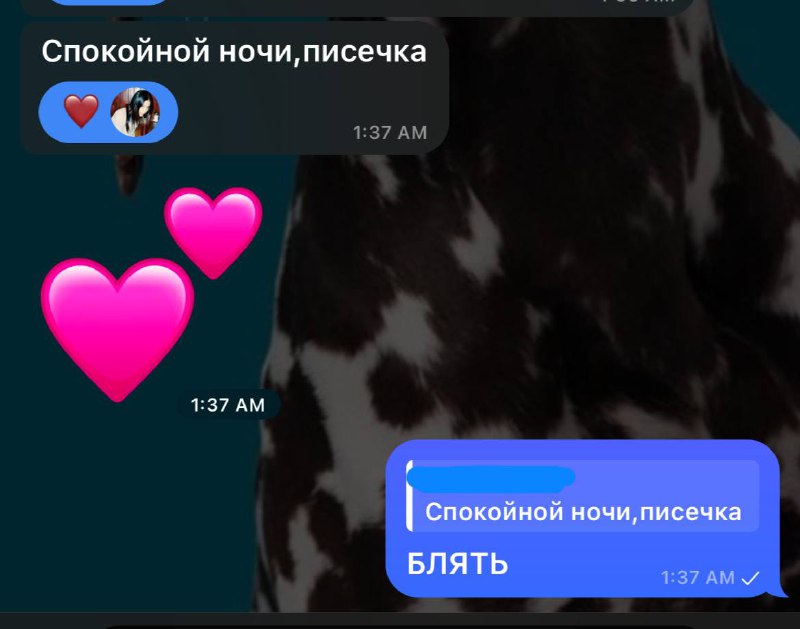 новые мэмы