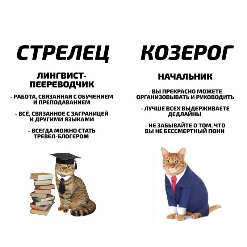 короче, гороскоп