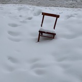 *****🪿***Отвечая на тему просвещения:**