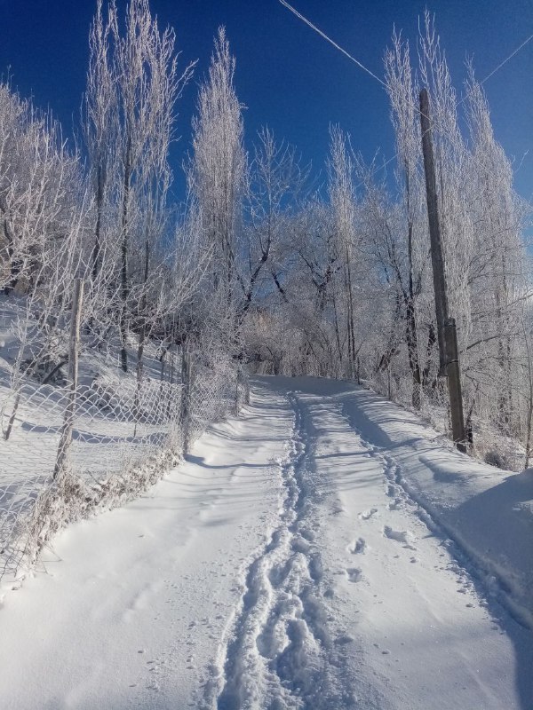 Qashqadaryo viloyat Turizmi